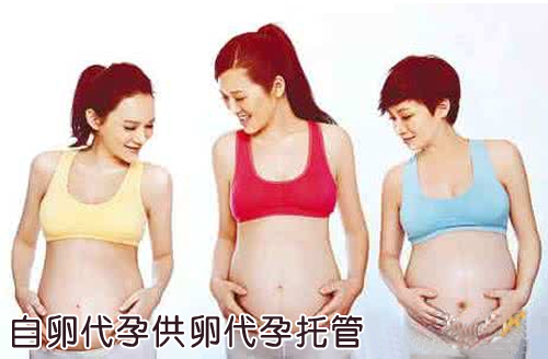 自卵或供卵广州助孕托管套餐